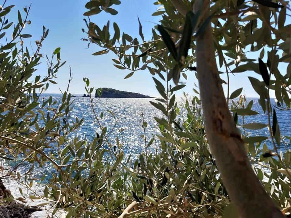 Apartments Marina Utjeha-Bušat Eksteriør billede